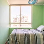 Departamento Central En Vina Del Mar Centro